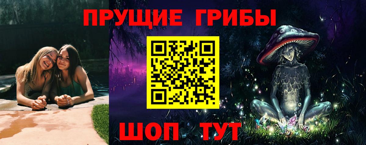что такое   Псилоцибиновые грибы GOLDEN TEACHER  Вход с VPN  Свободный 